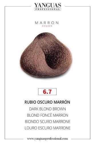 Rubio Oscuro Marrón 6.7