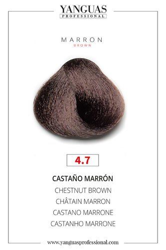 Castaño Marrón 4.7