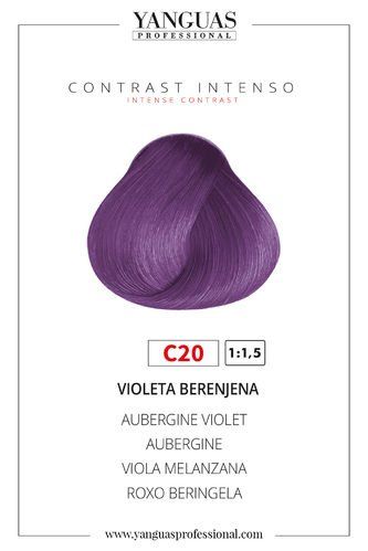 Colores Intensos Violeta Berenjena C20