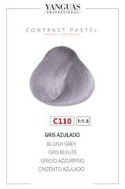 Colores Intensos Gris Azulado