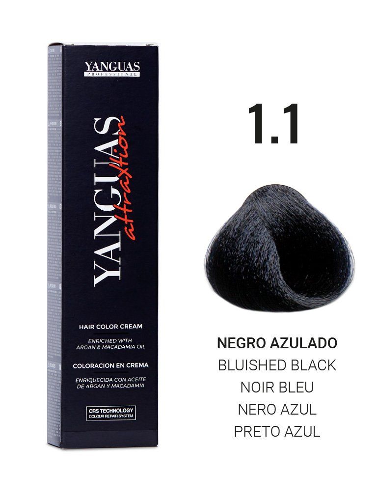 Yanguas Attraxtion 1 1