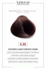 Marrón Tropical 5.35