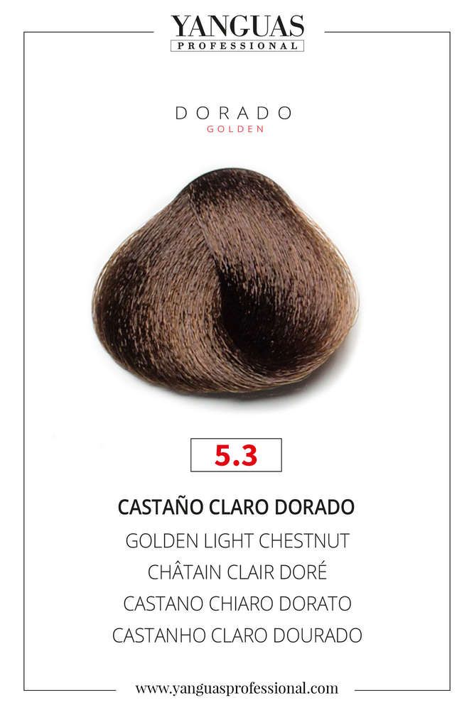 Castaño Claro Dorado 5