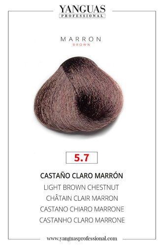 Castaño Claro Marrón