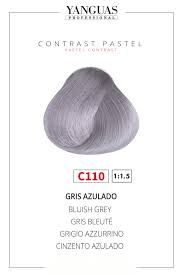 Colores Intensos Gris Azulado